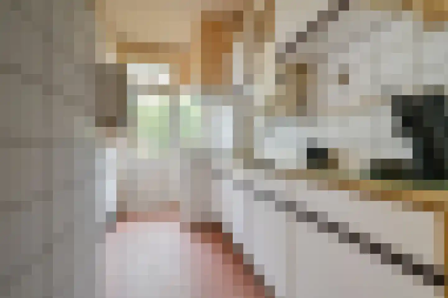 Egidiusstraat 22 2 Amsterdam thumbnail 8