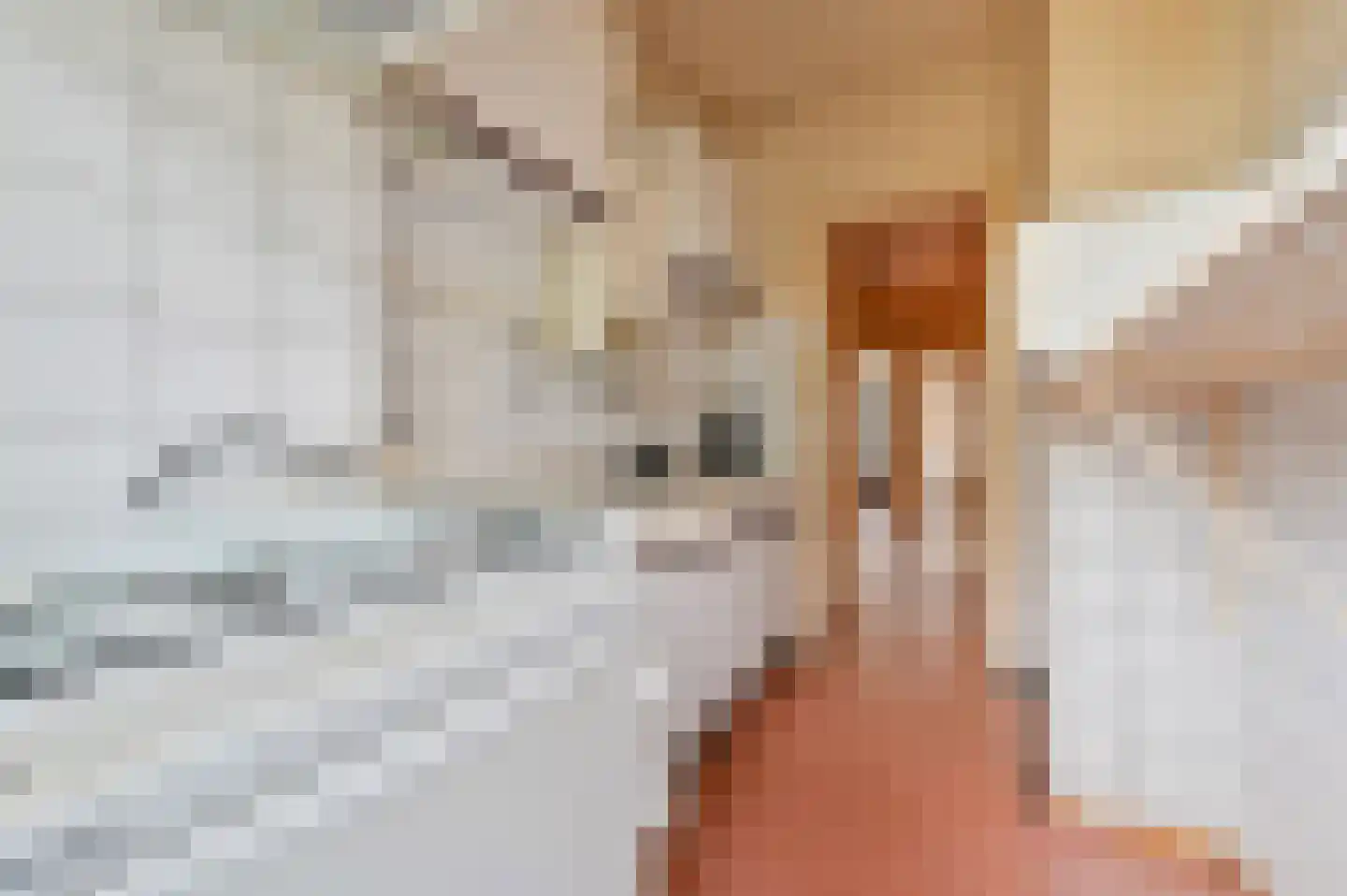 Egidiusstraat 22 2 Amsterdam thumbnail 9