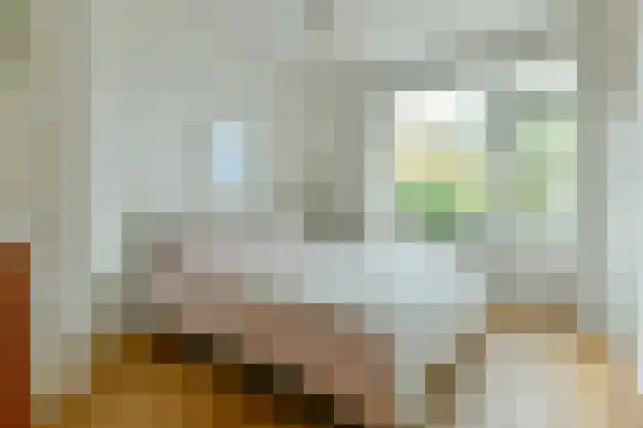 Egidiusstraat 34 3 Amsterdam thumbnail 13