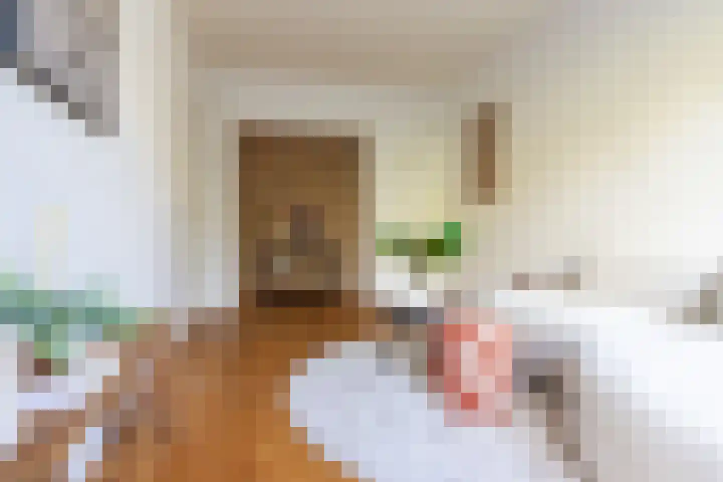 Egidiusstraat 39 2 Amsterdam thumbnail 8