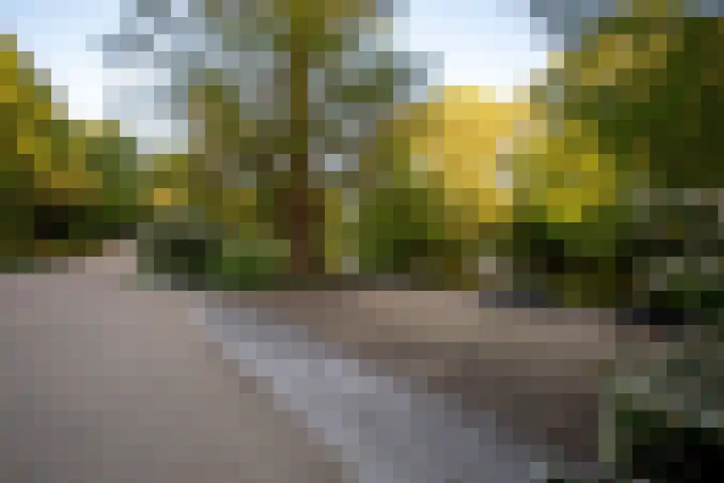 Egidiusstraat 46 2 Amsterdam thumbnail 39
