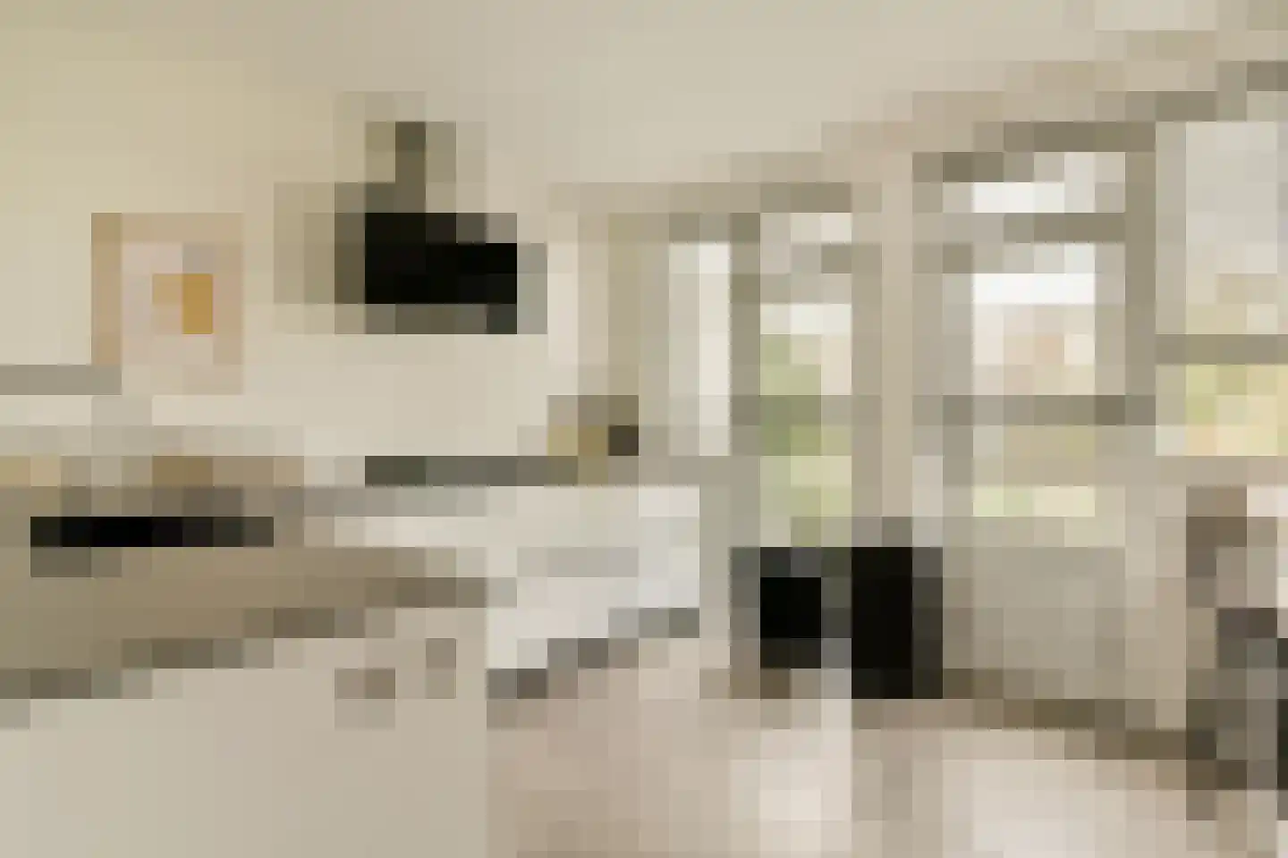 Egidiusstraat 57 2 Amsterdam thumbnail 11