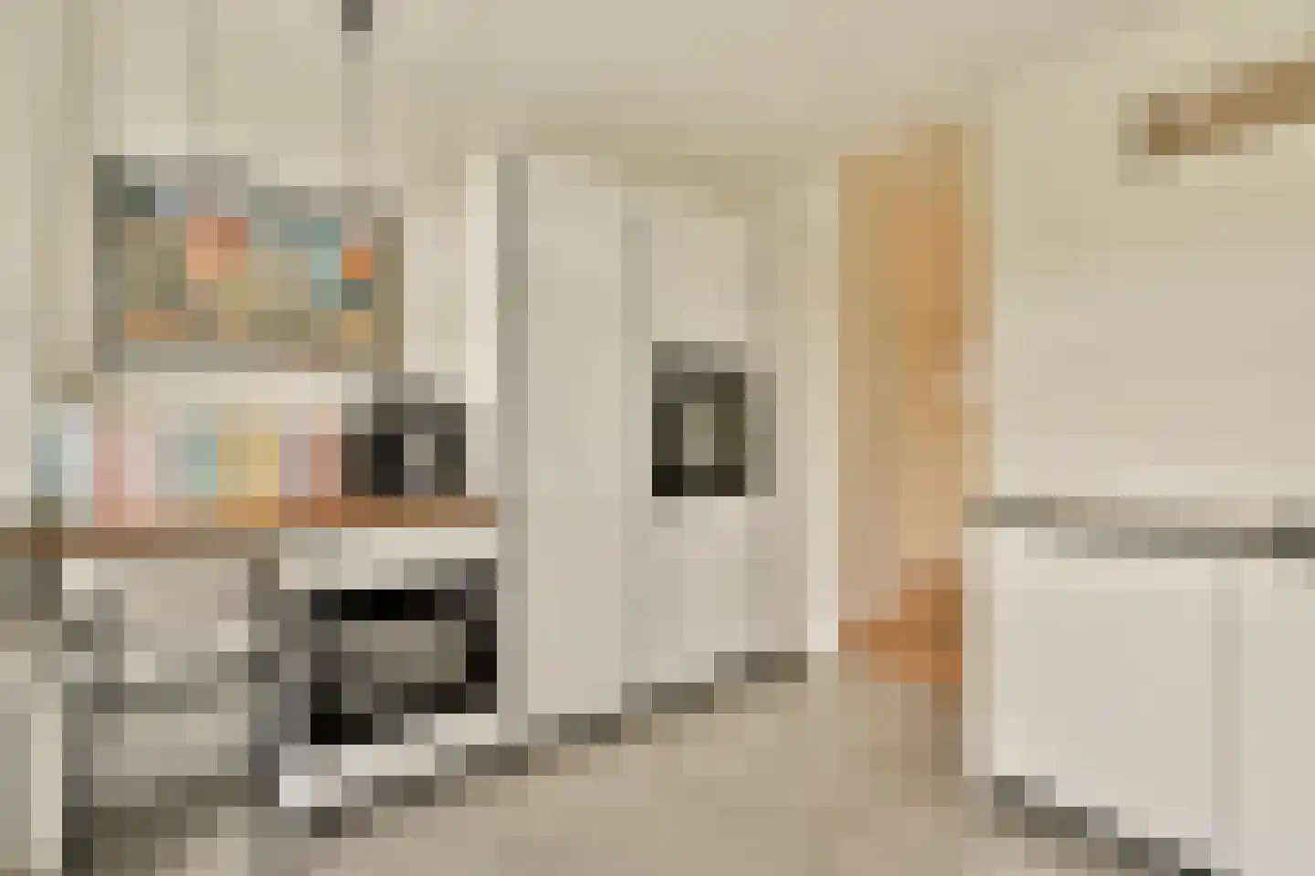 Egidiusstraat 57 2 Amsterdam thumbnail 13