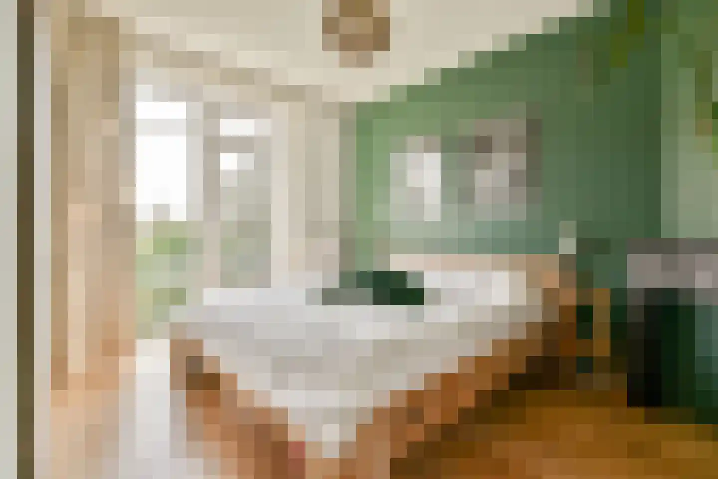 Egidiusstraat 57 2 Amsterdam thumbnail 17