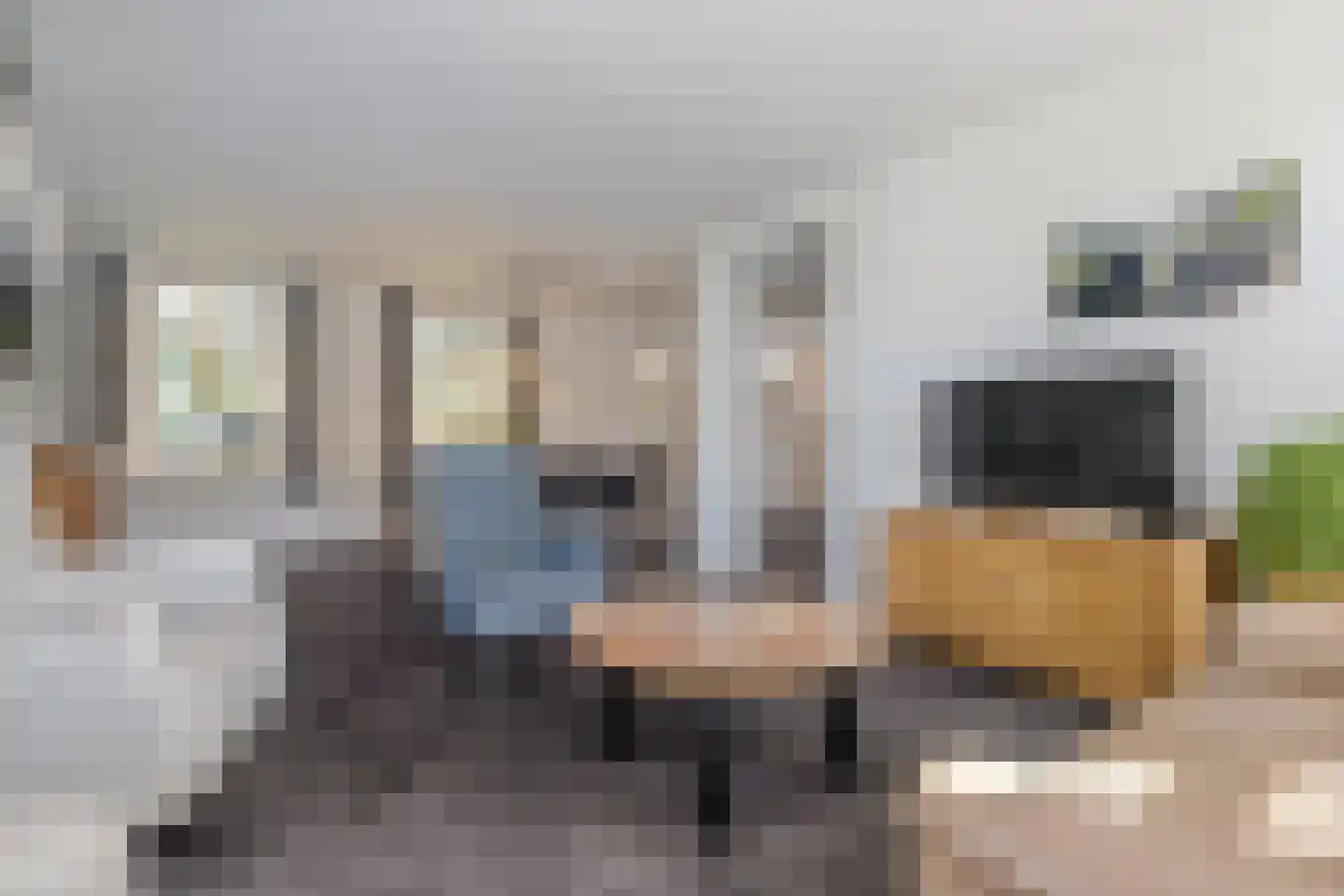 Egidiusstraat 6 Oost West en Middelbeers thumbnail 15