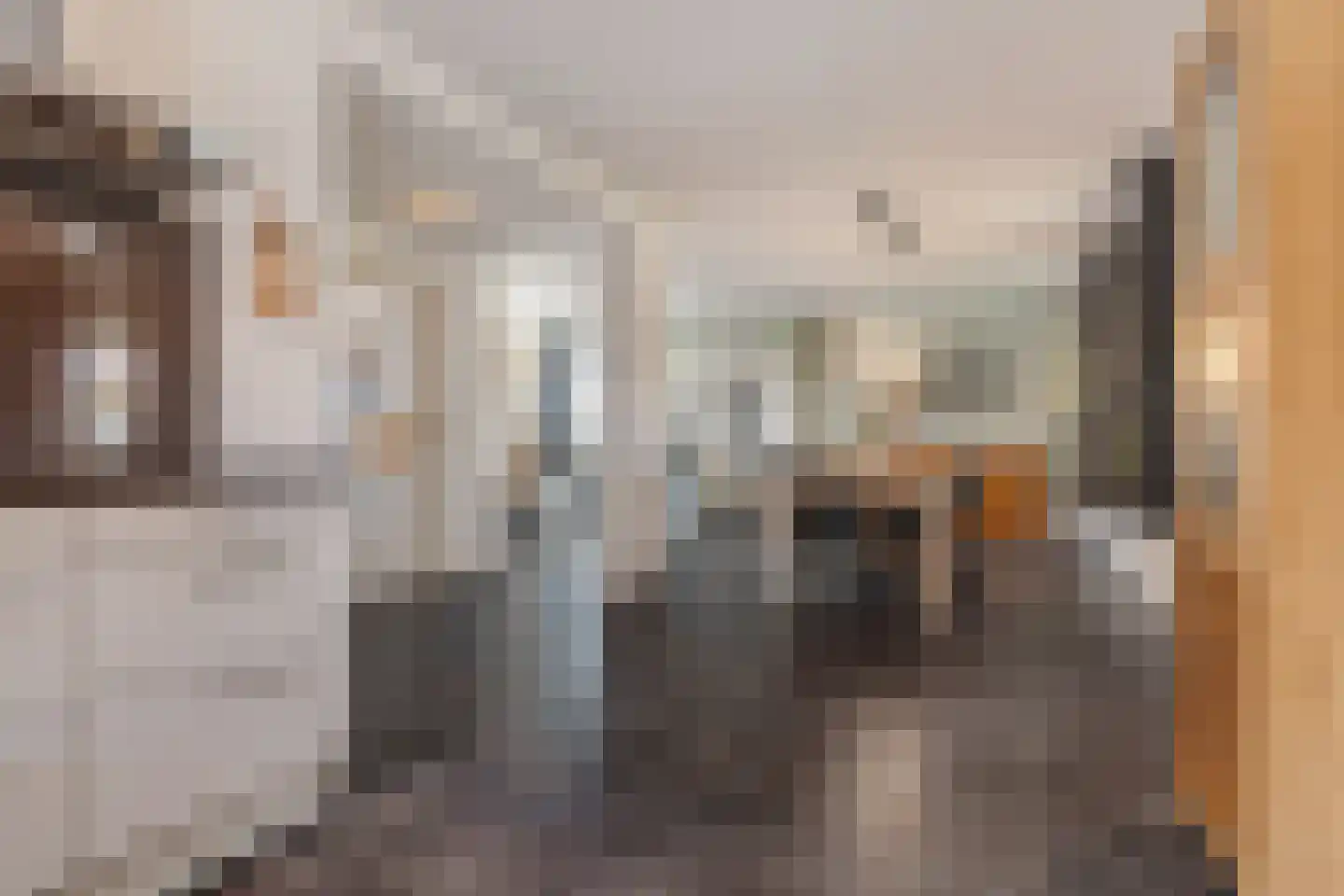 Egidiusstraat 6 Oost West en Middelbeers thumbnail 16
