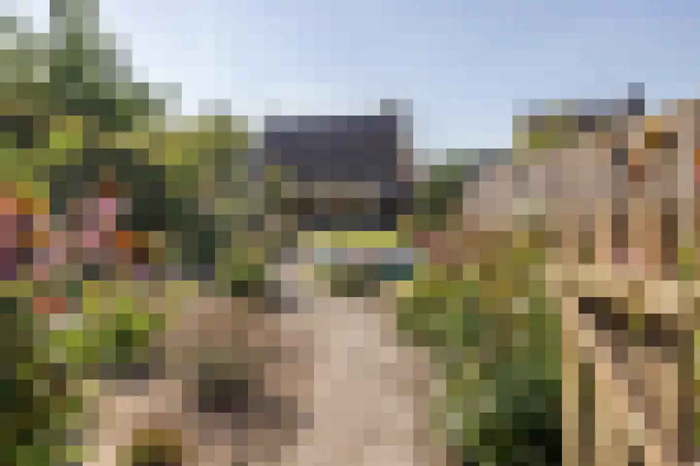 Egidiusstraat 6 Oost West en Middelbeers thumbnail 42