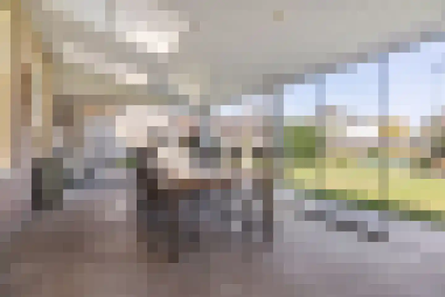 Egidiusstraat 6 Oost West en Middelbeers thumbnail 45
