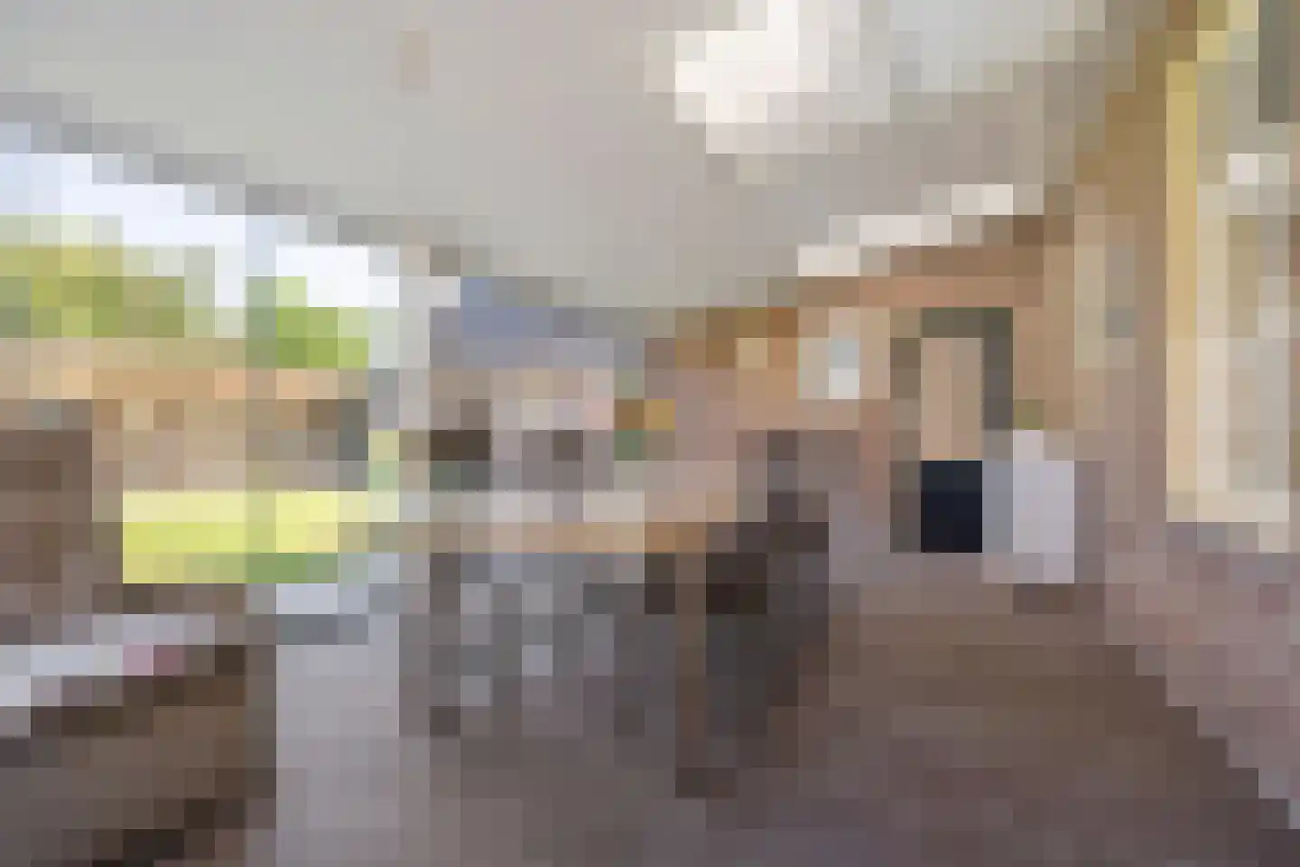 Egidiusstraat 6 Oost West en Middelbeers thumbnail 46