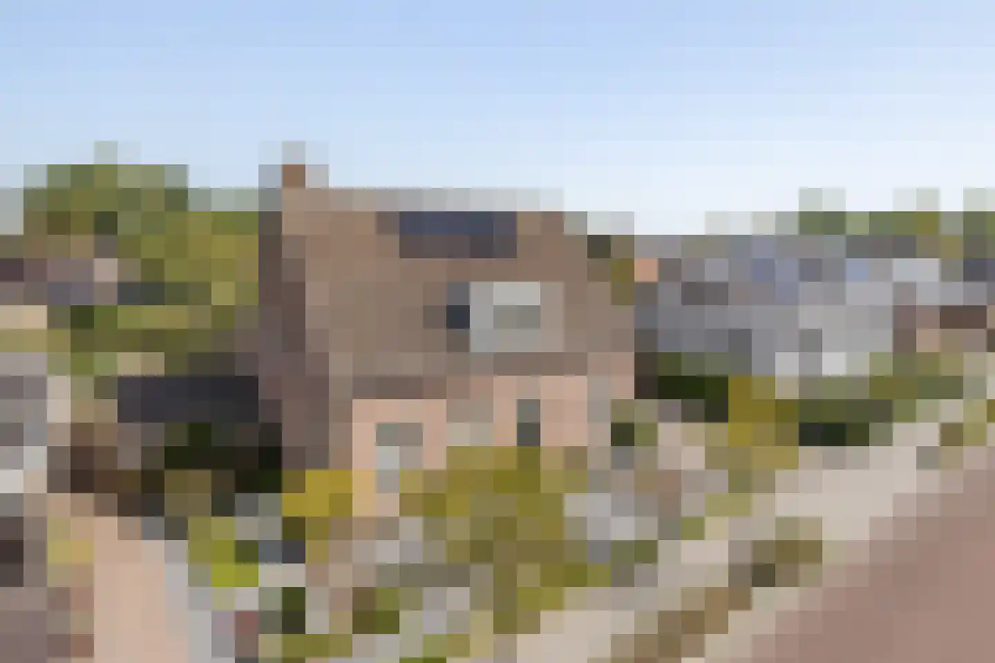 Egidiusstraat 6 Oost West en Middelbeers thumbnail 6