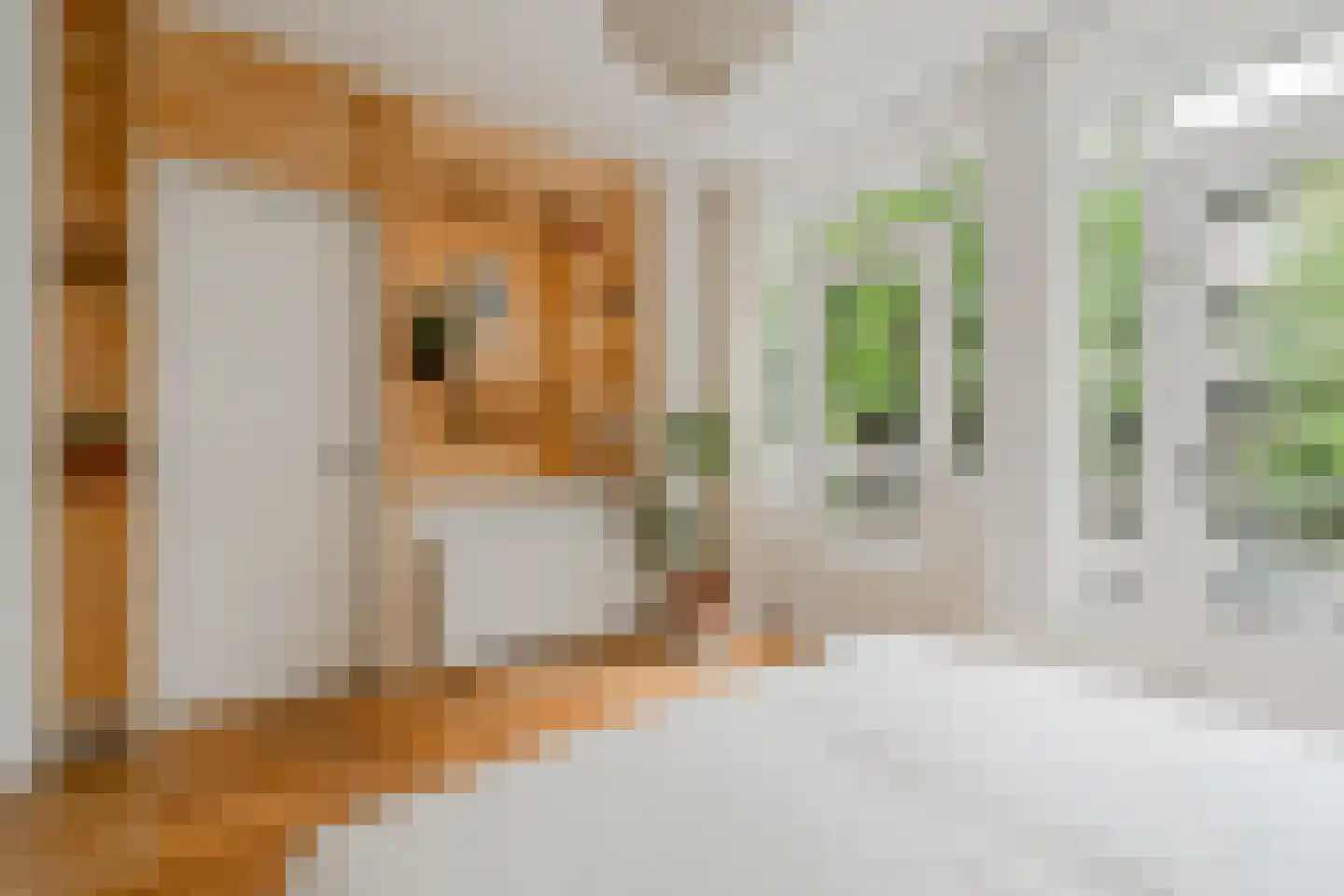 Egidiusstraat 63 1 Amsterdam thumbnail 20