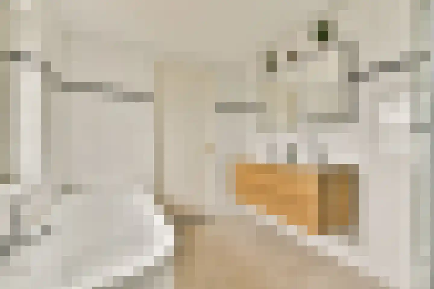 Egidiusstraat 63 1 Amsterdam thumbnail 23
