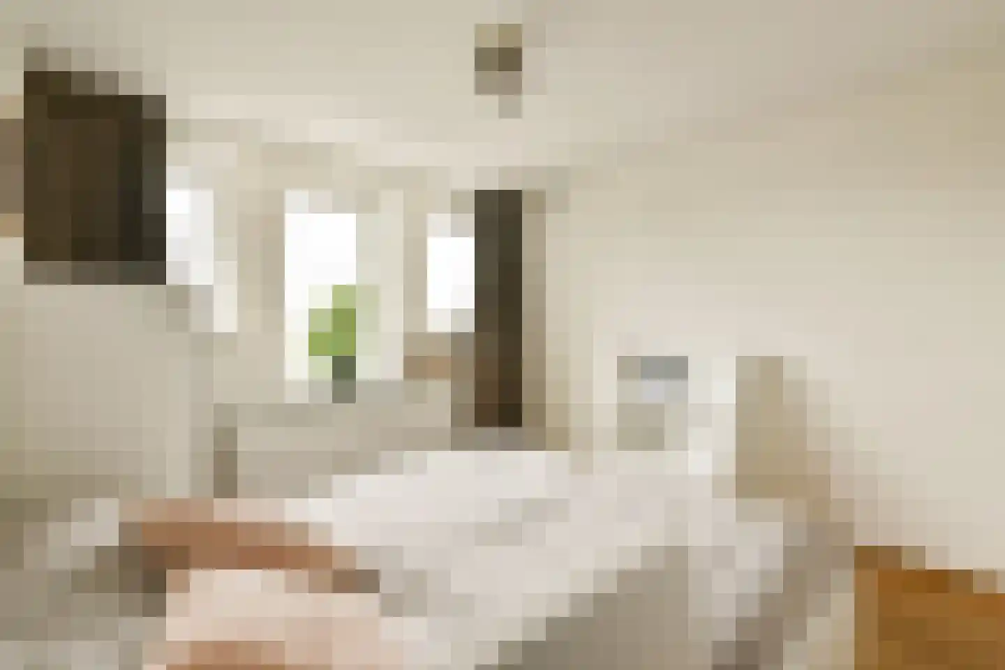 Egidiusstraat 63 1 Amsterdam thumbnail 25