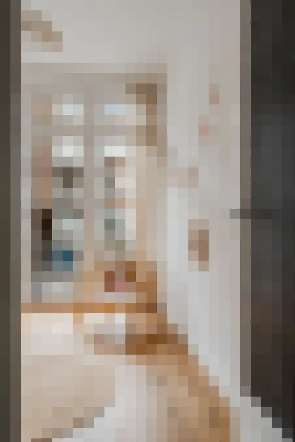 Egidiusstraat 63 1 Amsterdam thumbnail 28