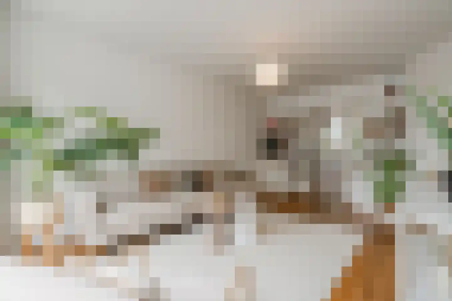 Egidiusstraat 63 1 Amsterdam thumbnail 5