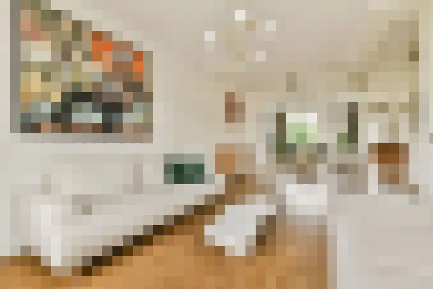 Egidiusstraat 63 1 Amsterdam thumbnail 8