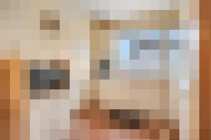 Eglaan 6 Bemmel thumbnail 11