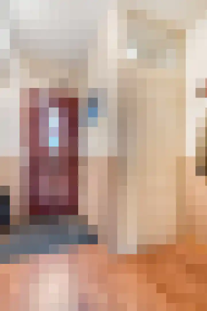 Eglaan 6 Bemmel thumbnail 13