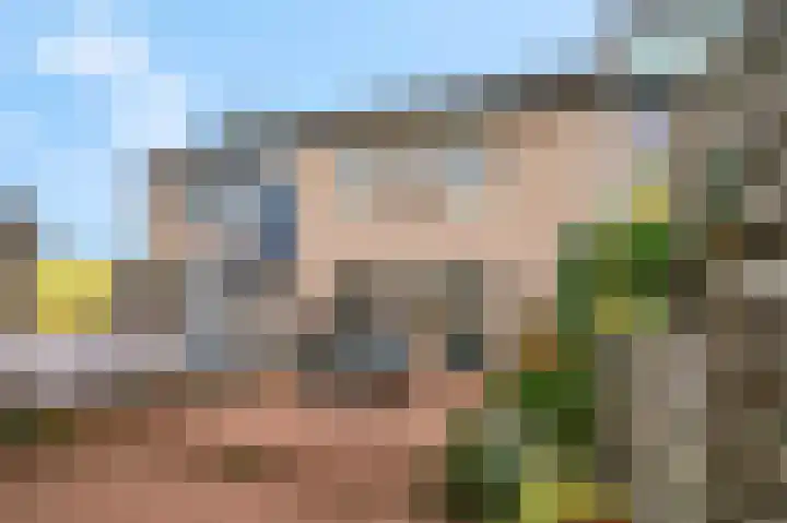 Eglaan 6 Bemmel thumbnail 30