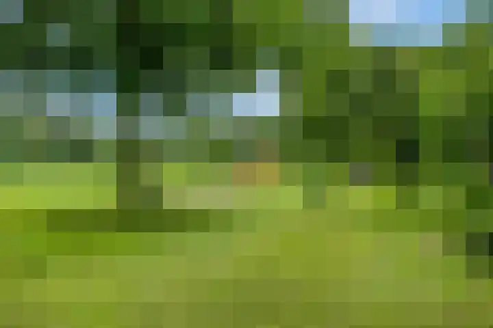 Eglaan 6 Bemmel thumbnail 33
