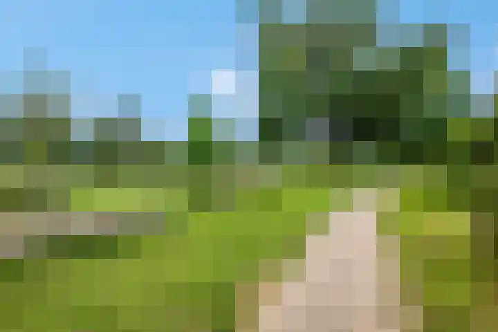Eglaan 6 Bemmel thumbnail 35