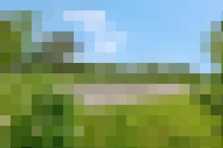 Eglaan 6 Bemmel thumbnail 36