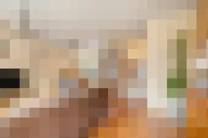 Eglaan 6 Bemmel thumbnail 8