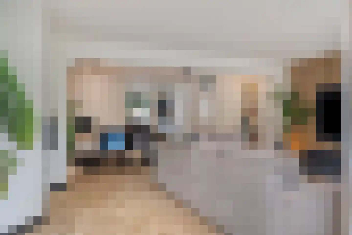 Eglantier 15 Prinsenbeek thumbnail 12