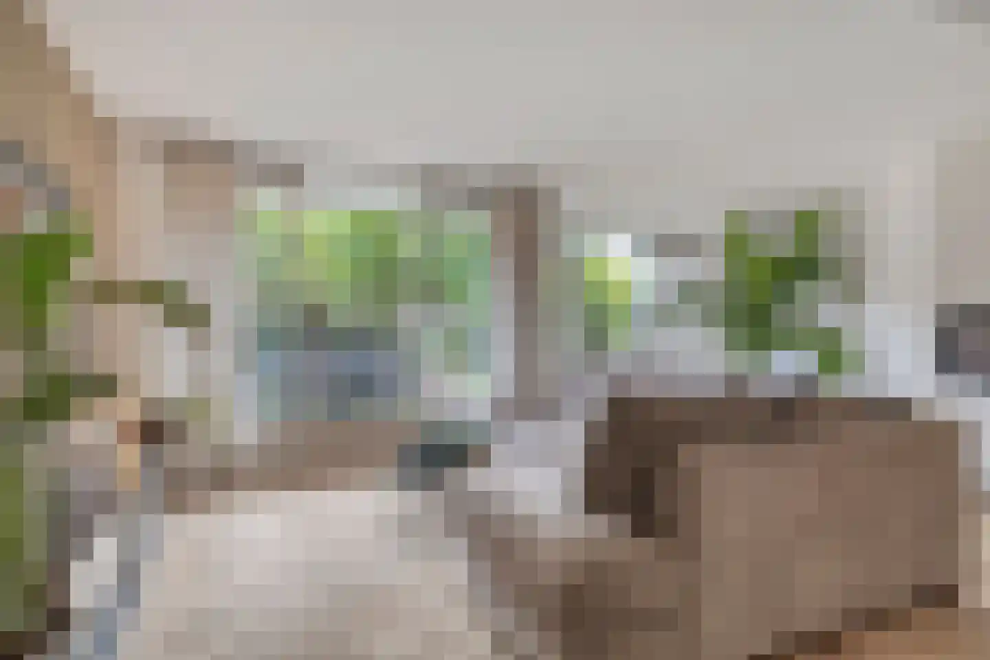 Eglantier 15 Prinsenbeek thumbnail 14
