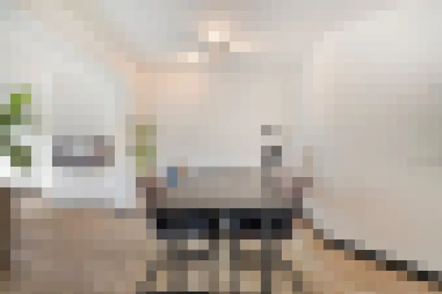 Eglantier 15 Prinsenbeek thumbnail 16