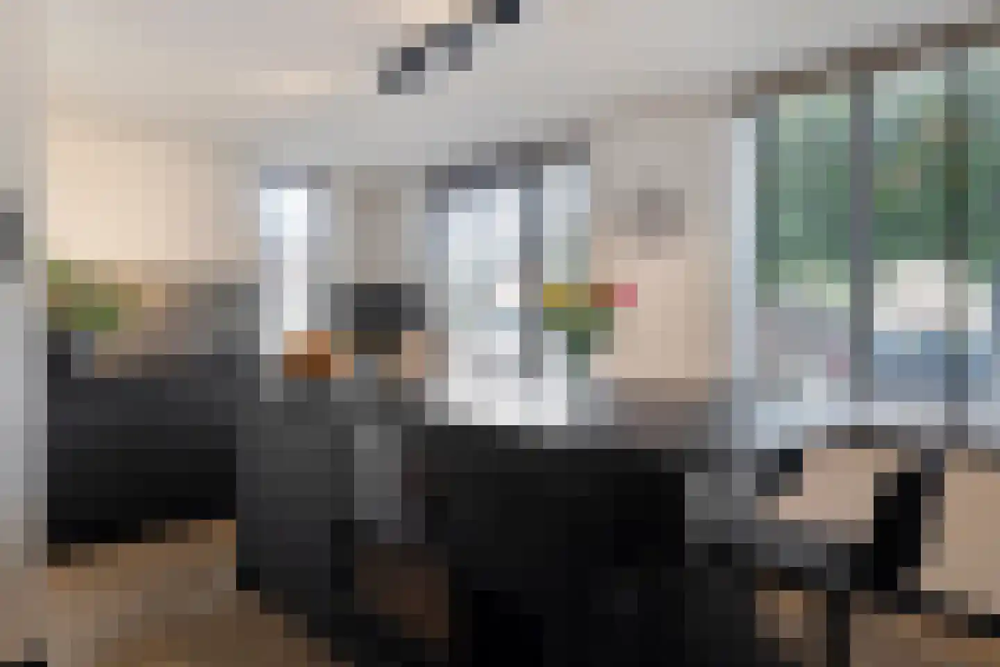Eglantier 15 Prinsenbeek thumbnail 17