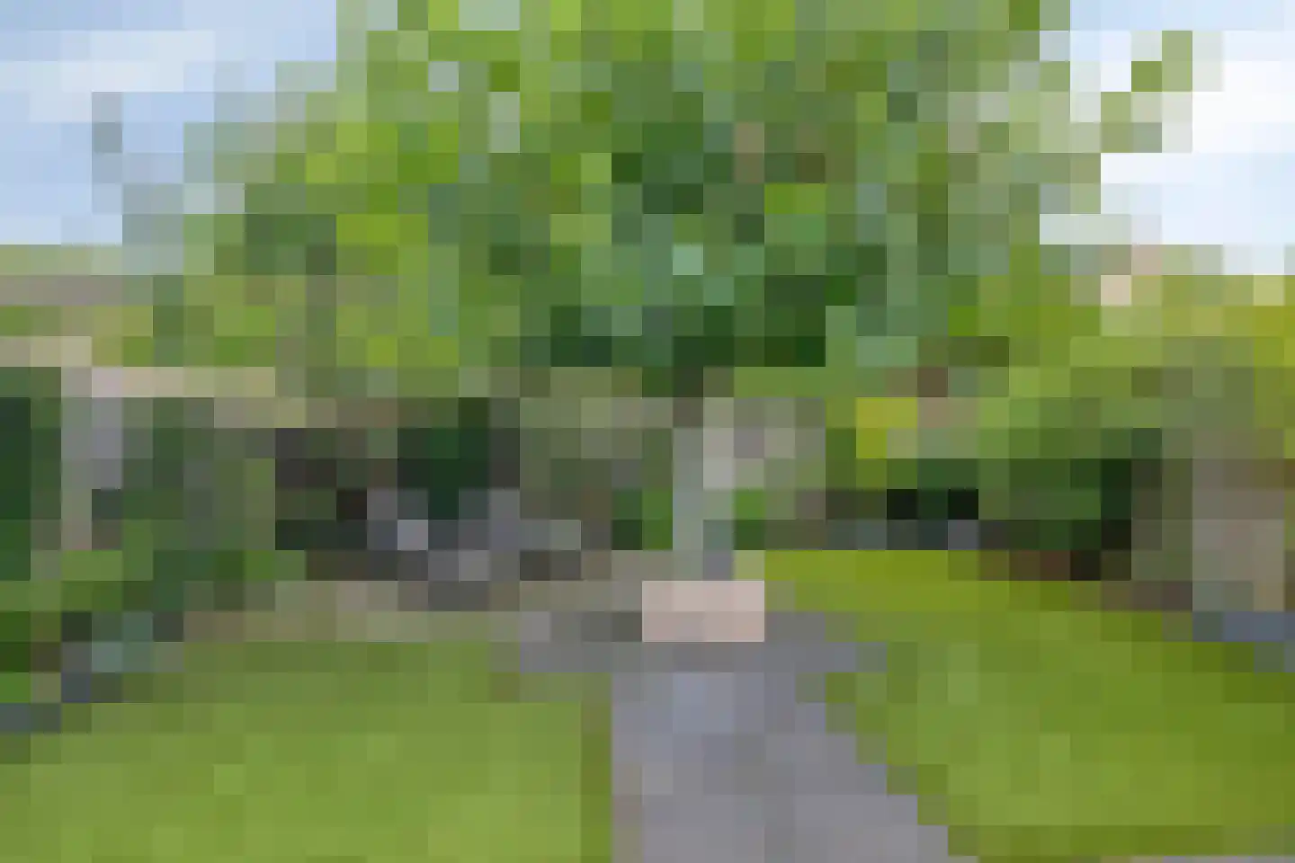Eglantier 15 Prinsenbeek thumbnail 30