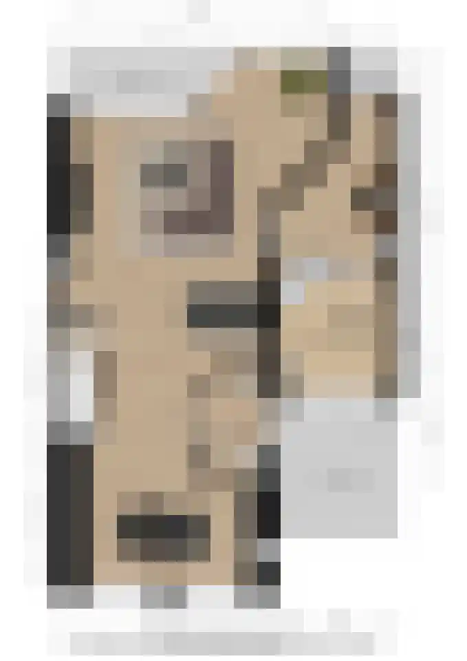Eglantier 15 Prinsenbeek thumbnail 33