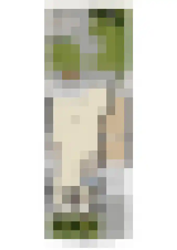 Eglantier 15 Prinsenbeek thumbnail 36