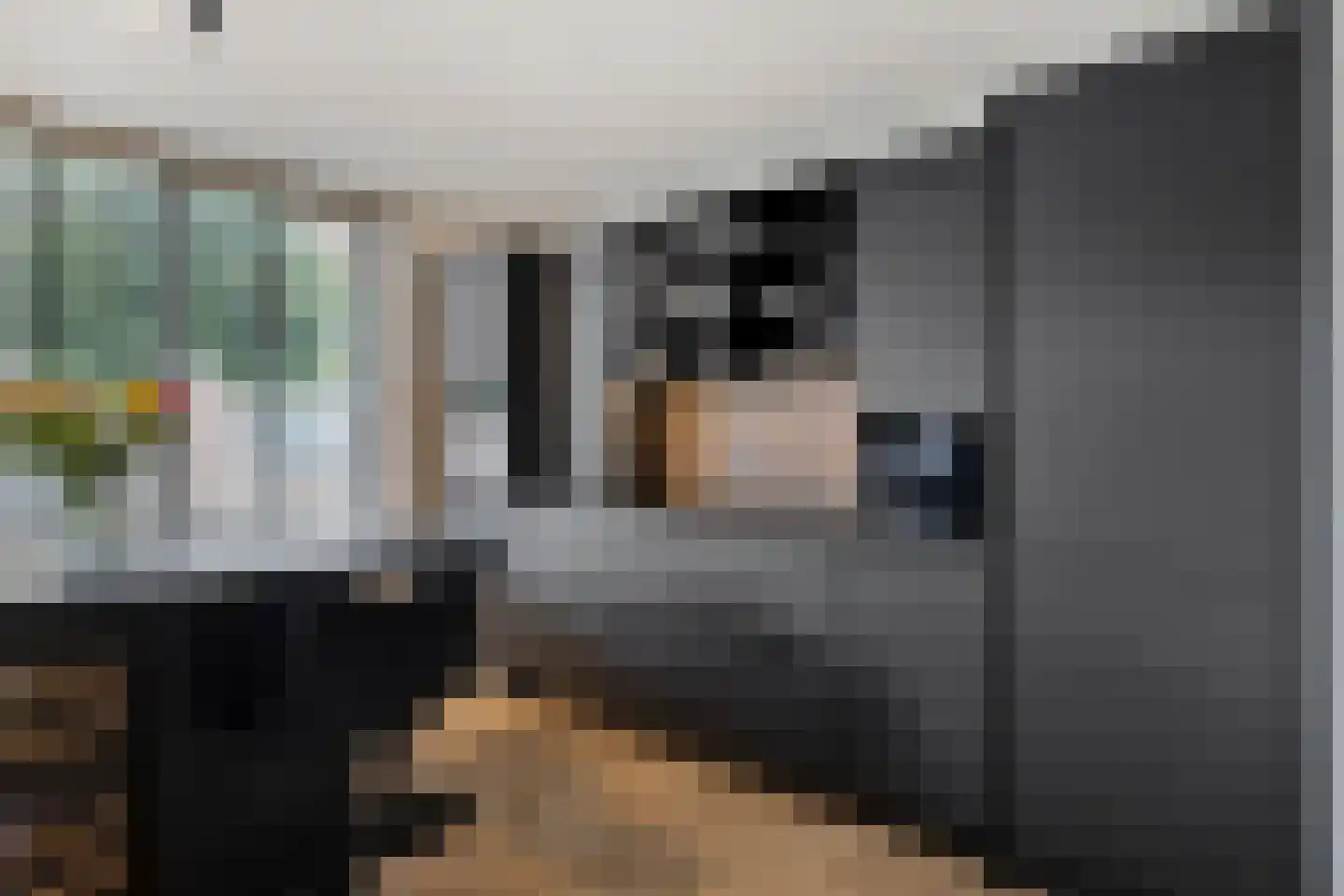 Eglantier 15 Prinsenbeek thumbnail 4