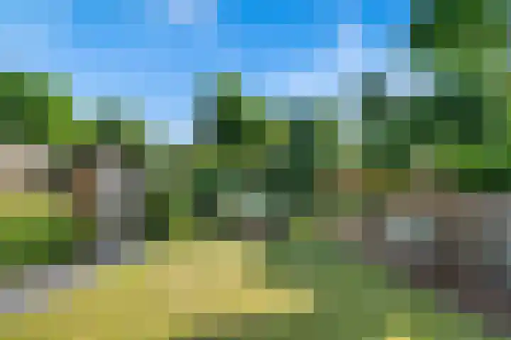 Eglantier 27 A Brunssum thumbnail 26