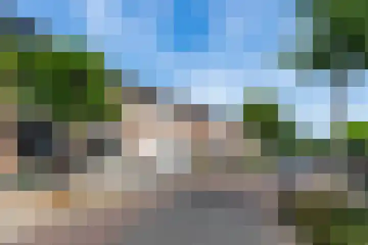 Eglantier 27 A Brunssum thumbnail 30