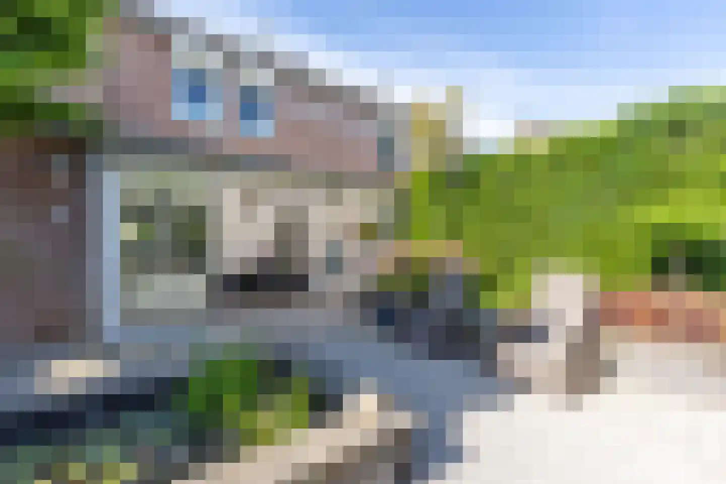 Eglantier 30 Brunssum thumbnail 32