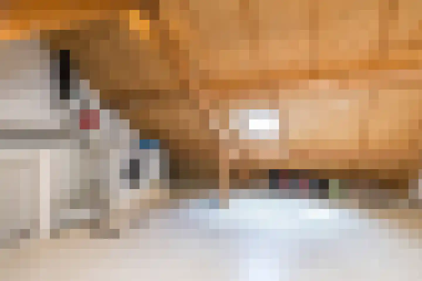 Eglantier 51 Brunssum thumbnail 24