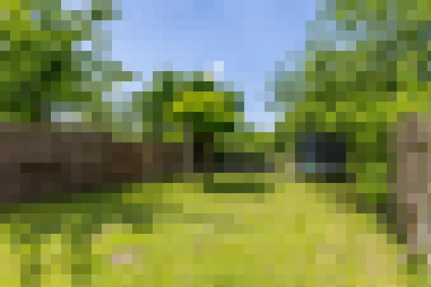 Eglantier 51 Brunssum thumbnail 28