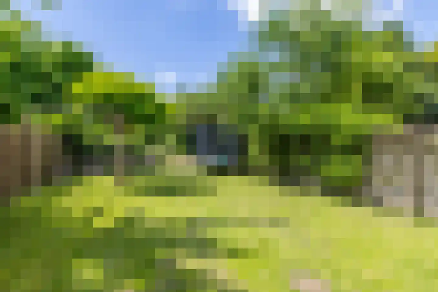 Eglantier 51 Brunssum thumbnail 29