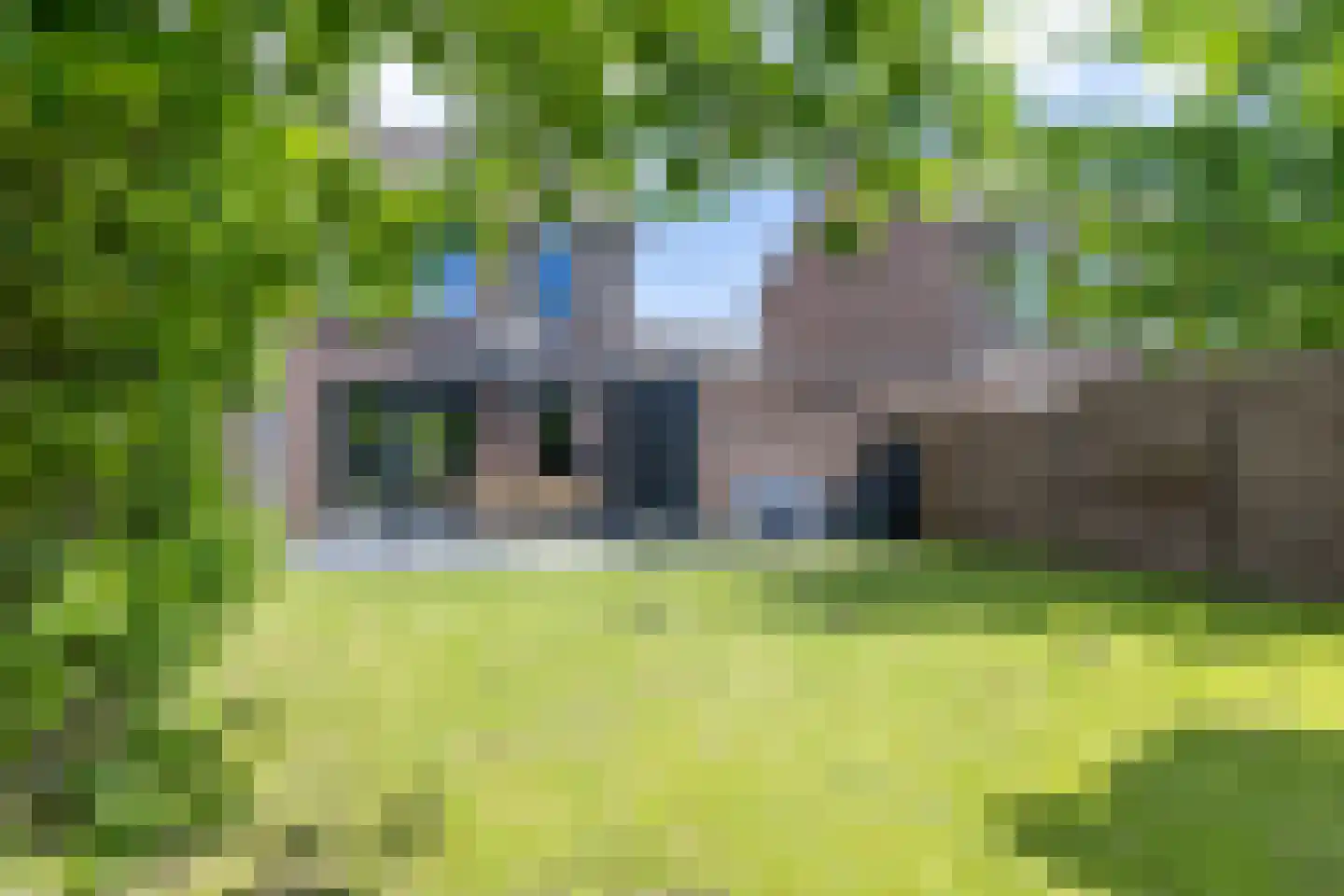 Eglantier 51 Brunssum thumbnail 30