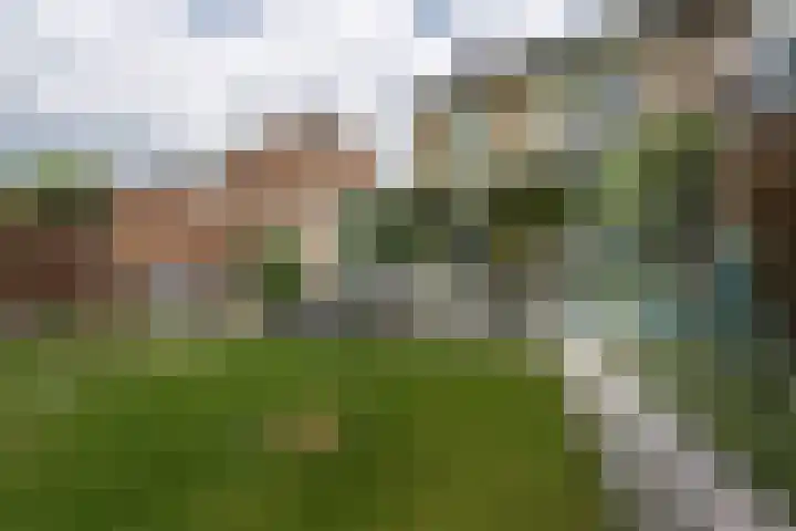 Eglantier 78 Brunssum thumbnail 26