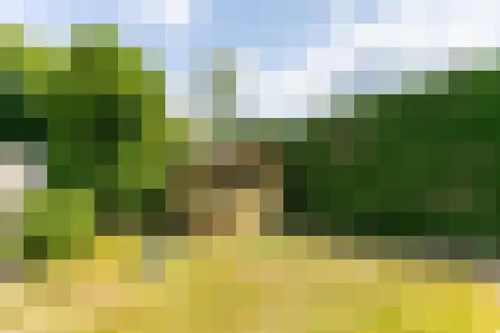 Eglantier 93 Brunssum thumbnail 27
