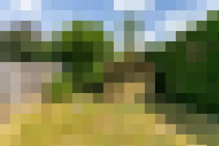 Eglantier 93 Brunssum thumbnail 28