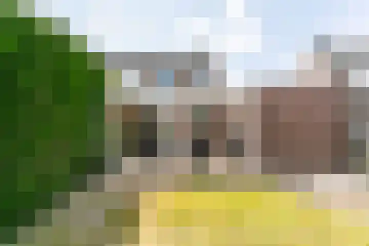 Eglantier 93 Brunssum thumbnail 29