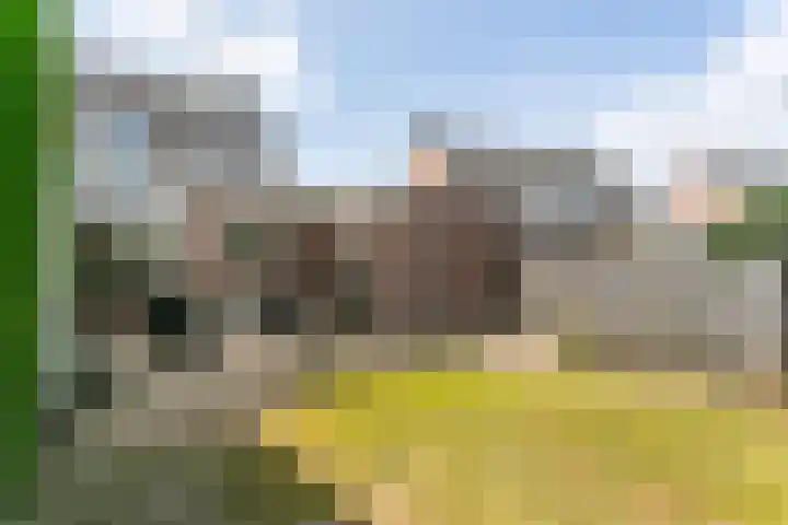 Eglantier 93 Brunssum thumbnail 30