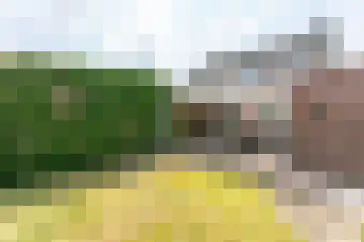Eglantier 93 Brunssum thumbnail 31