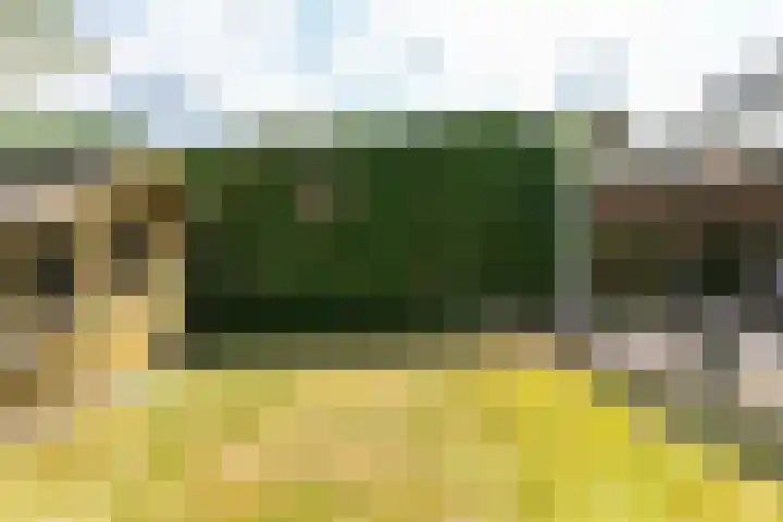 Eglantier 93 Brunssum thumbnail 32