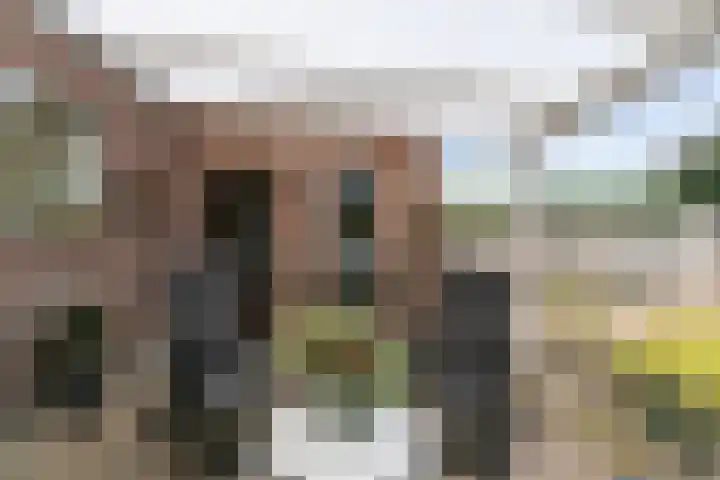 Eglantier 93 Brunssum thumbnail 33